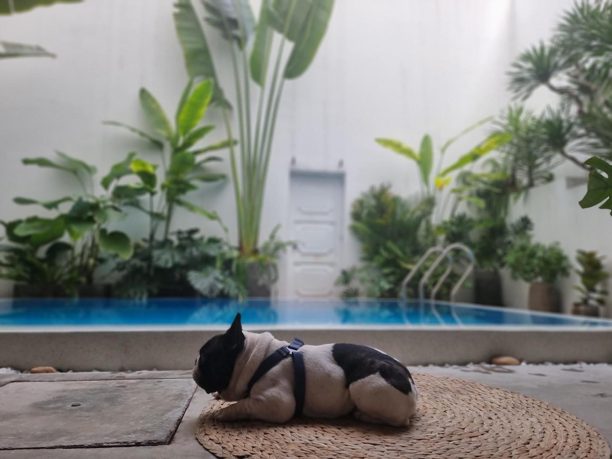 Apartamento Lada'S House Da Nang Exterior foto